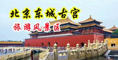 强奸jk白虎美女视频中国北京-东城古宫旅游风景区